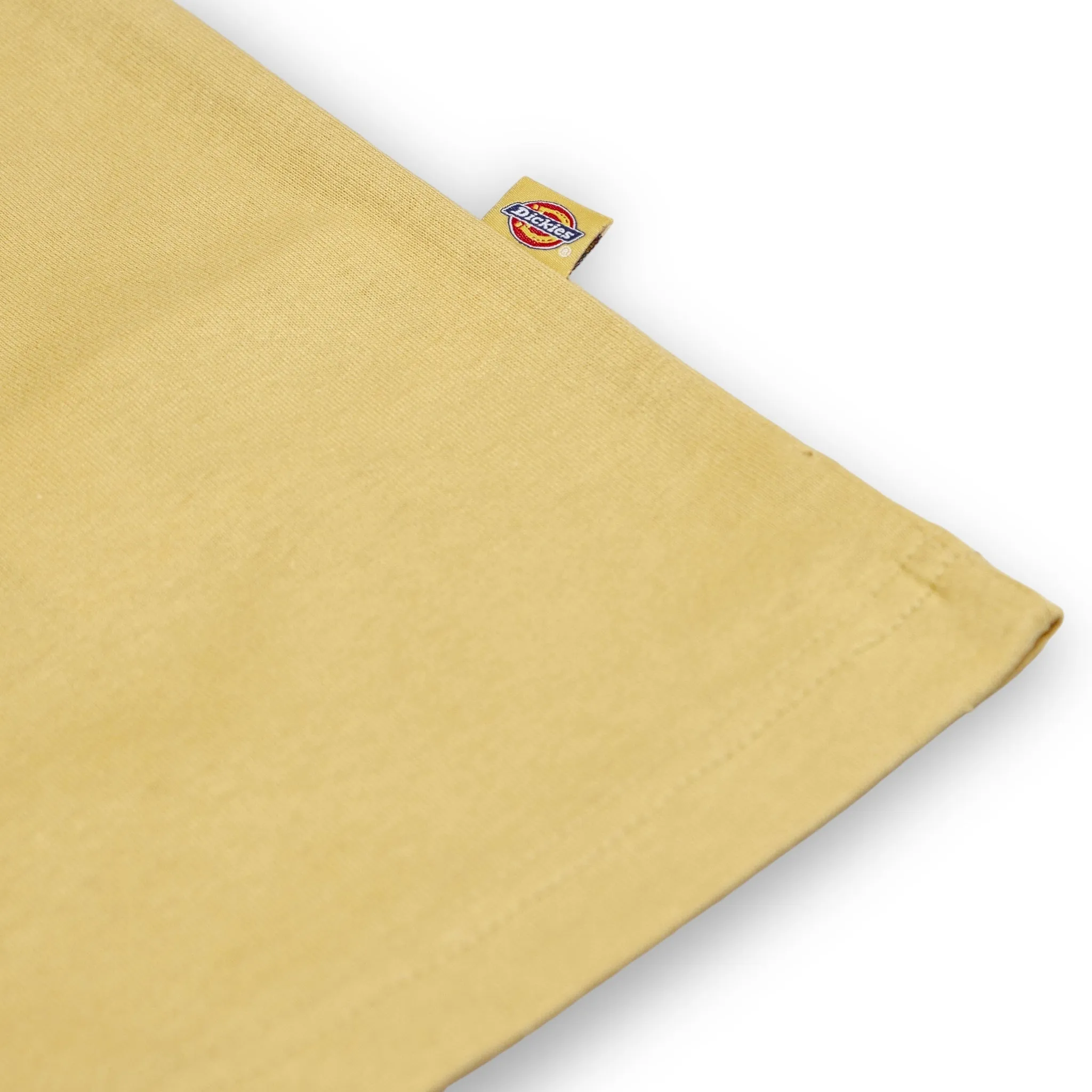 Dickies Luray T-Shirt - Fall Leaf