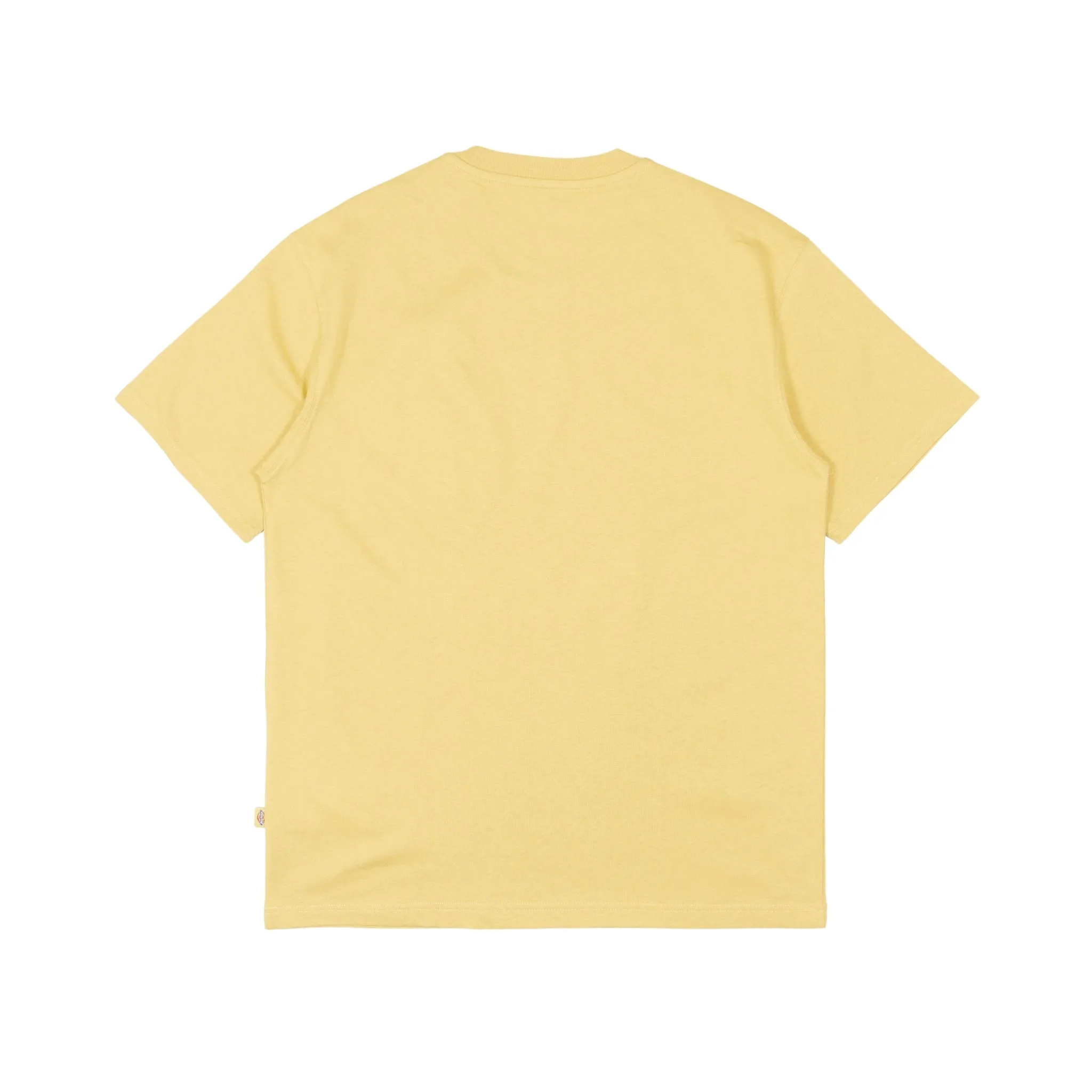 Dickies Luray T-Shirt - Fall Leaf