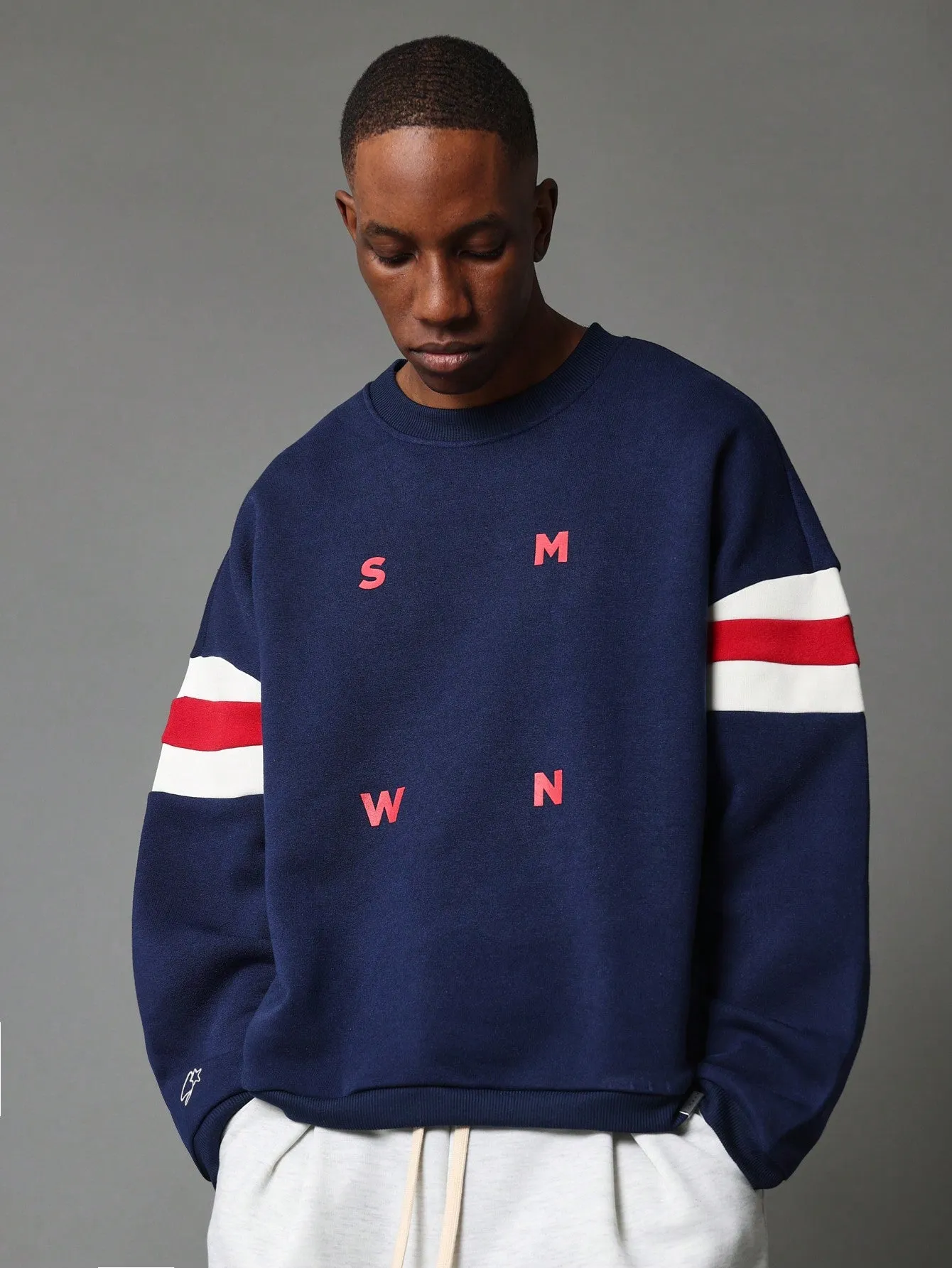 Regular Fit Colour Block Sweatshirt With Small Graphic Print