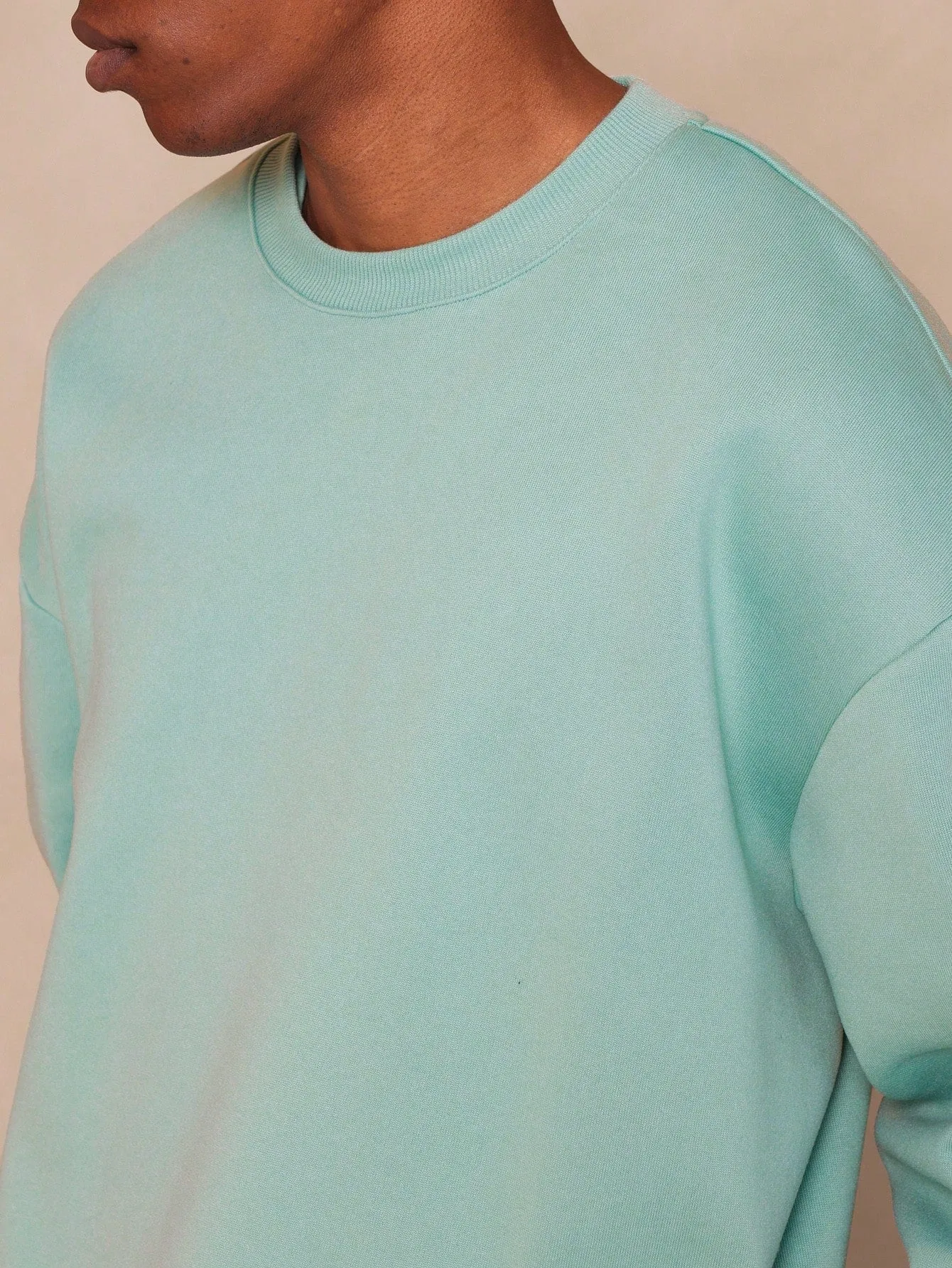Regular Fit Long Sleeve Heavyweight Essential Sweatshirt