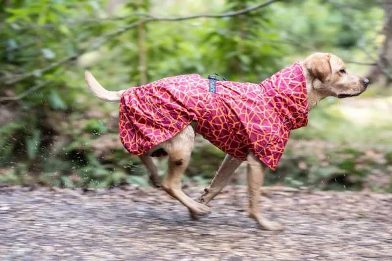 Rukka Hayton Warm Raincoat for Dogs